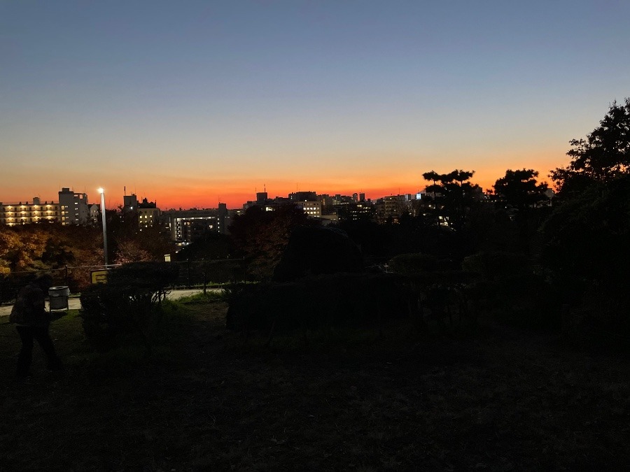 西郷山公園からの夕陽