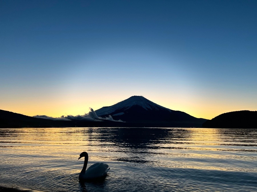 白鳥の湖