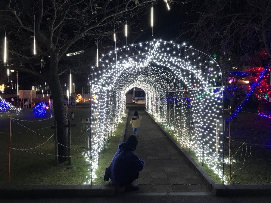 🌟 清武町イルミネーション ‼️⑤（≧∇≦）