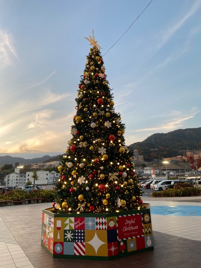 夕焼けのクリスマスツリー🎄