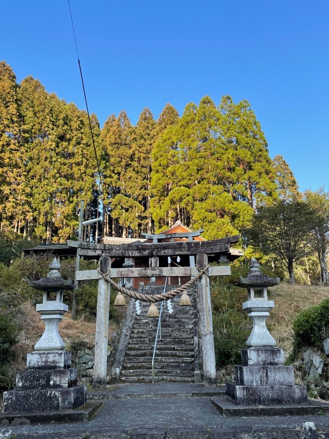 年末の三社詣り