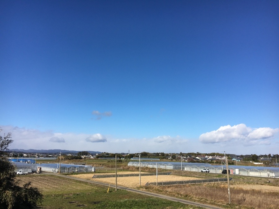 ⭕️空部→ 今日の空（≧∇≦）‼️317.