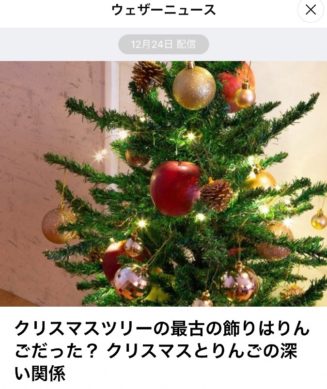 ツリー🎄とりんご🍎の関係♡