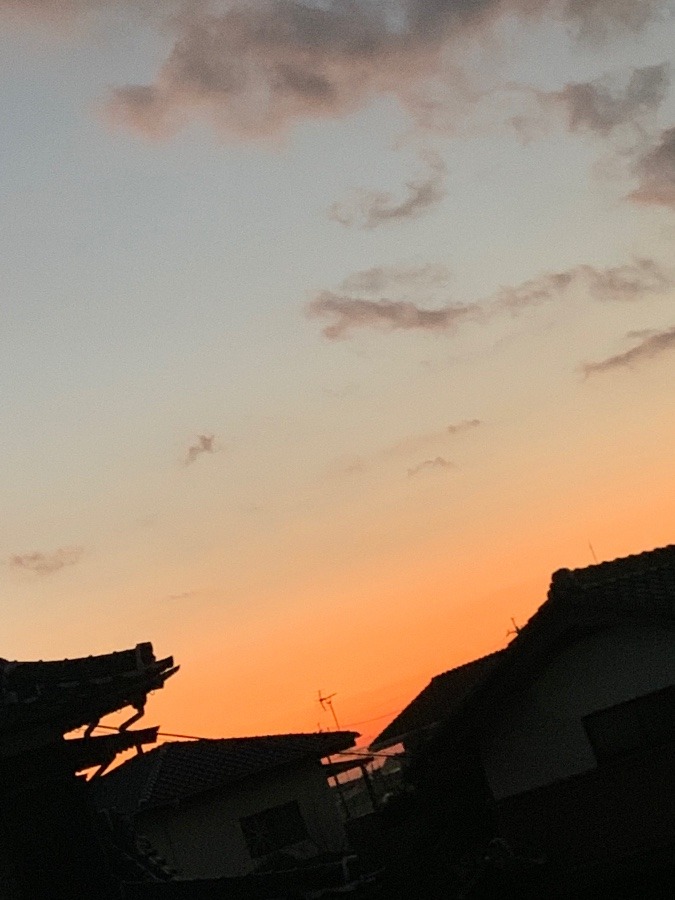 今朝の空