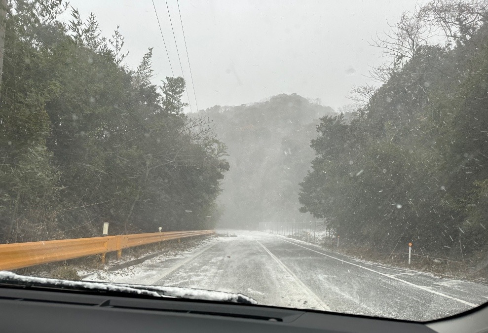 怖かった〜積もってる雪