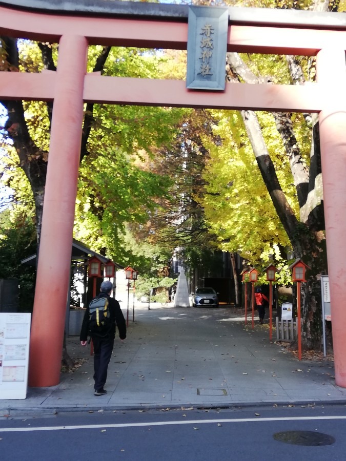 神社の紅葉