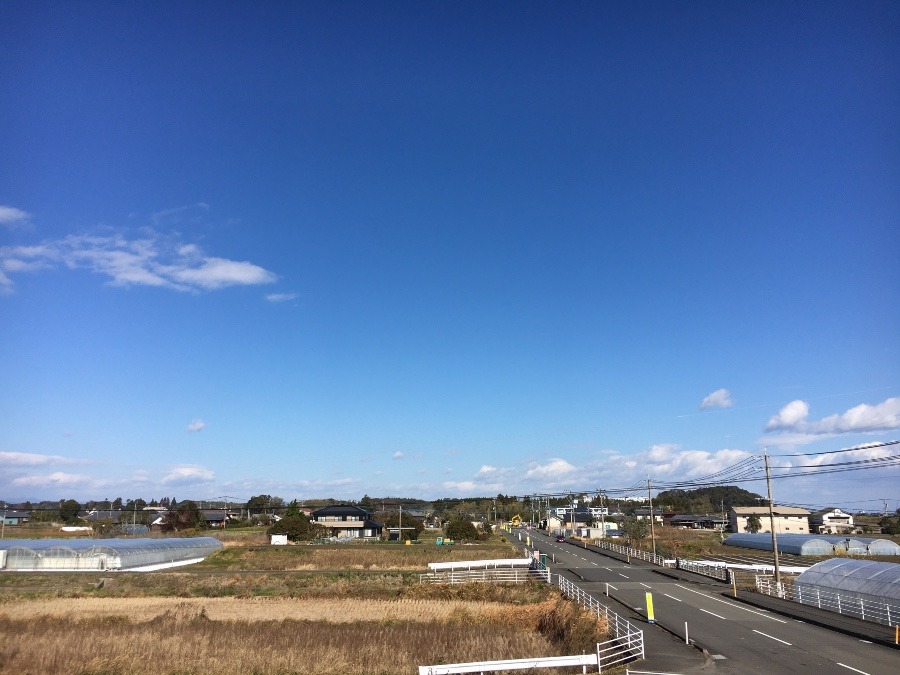 ⭕️空部→ 今日の空（≧∇≦）‼️313.