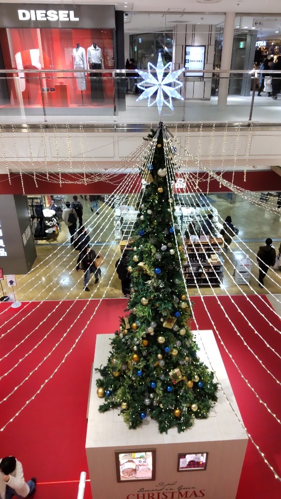 大きなクリスマスツリー！