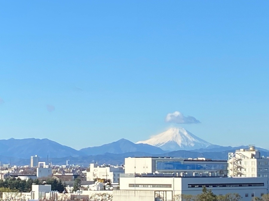 今朝の富士山