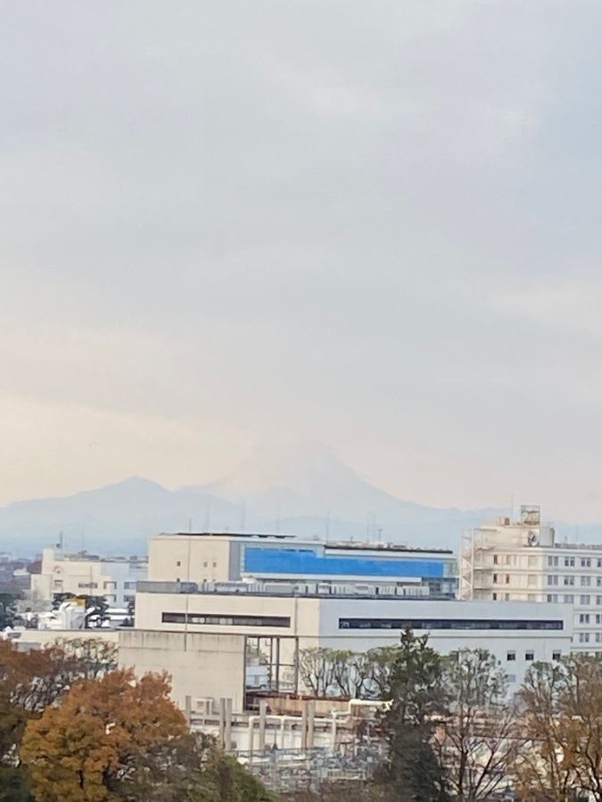 今朝の富士山