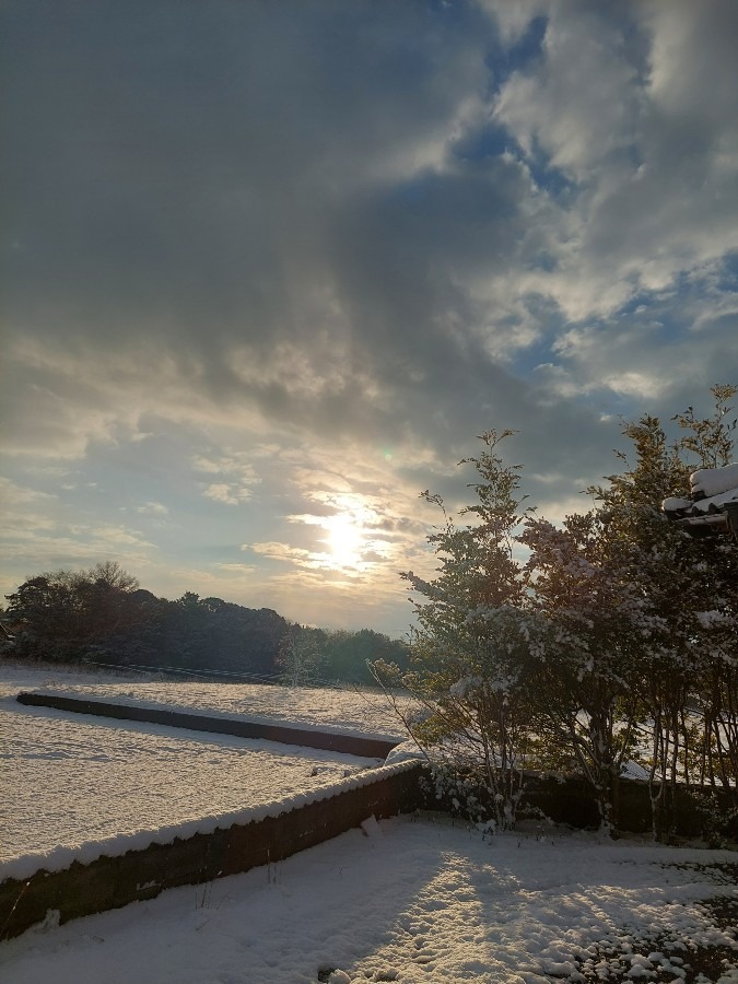 クリスマスイブの朝空