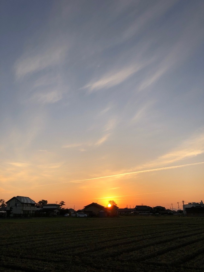 今日の朝陽