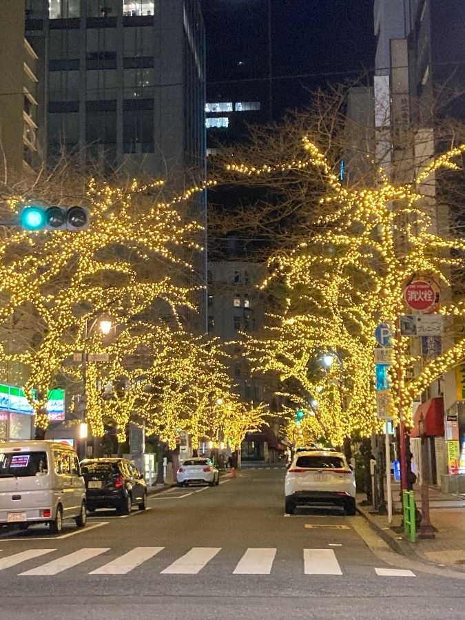 東京駅近くの通り道で