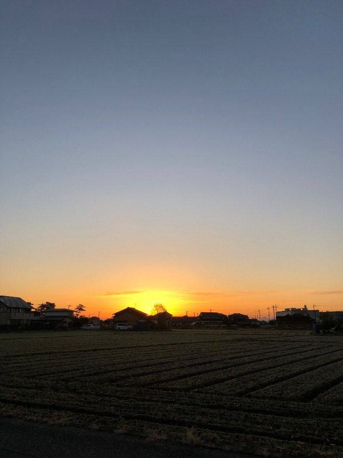 今日の朝陽