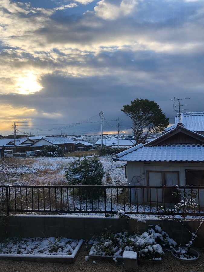 この冬初積雪❄︎