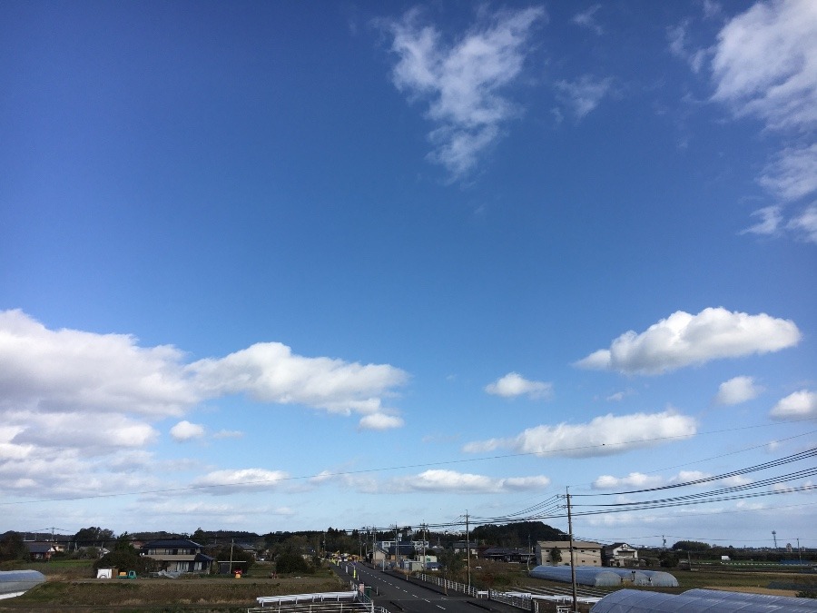 ⭕️空部→   今日の空（≧∇≦）‼️301.