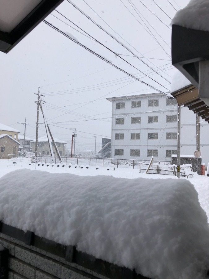 ⛄️別世界だっ