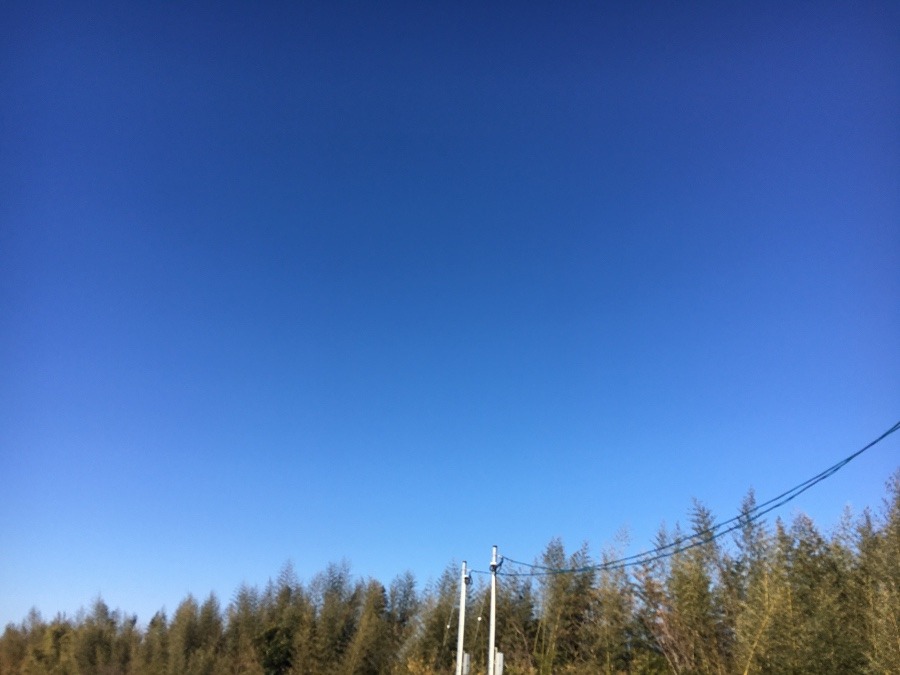 ⭕️空部→ 今日の空（≧∇≦）‼️347.