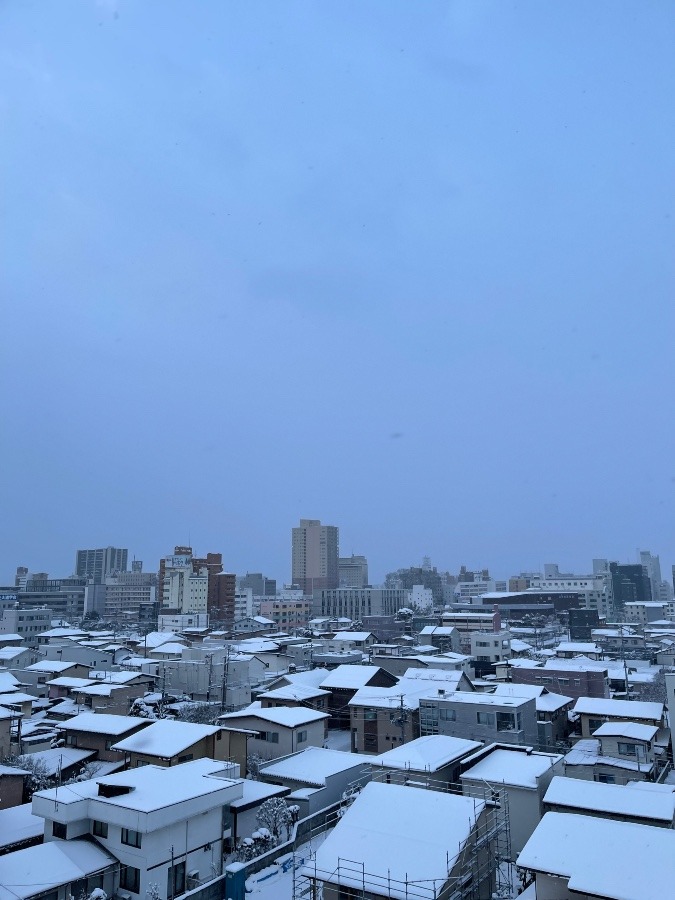 今朝の空  3