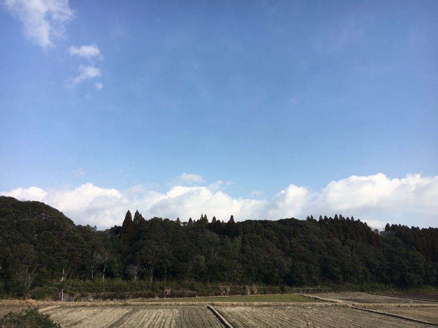 ⭕️空部→ 今日の空（≧∇≦）‼️380.