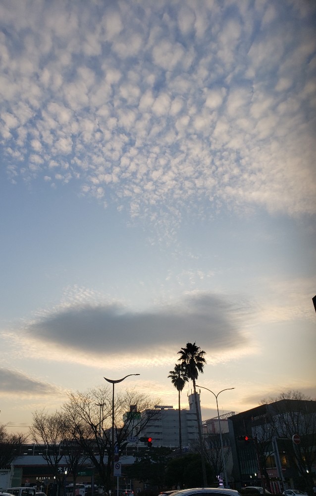 一粒万倍日天赦日の雲