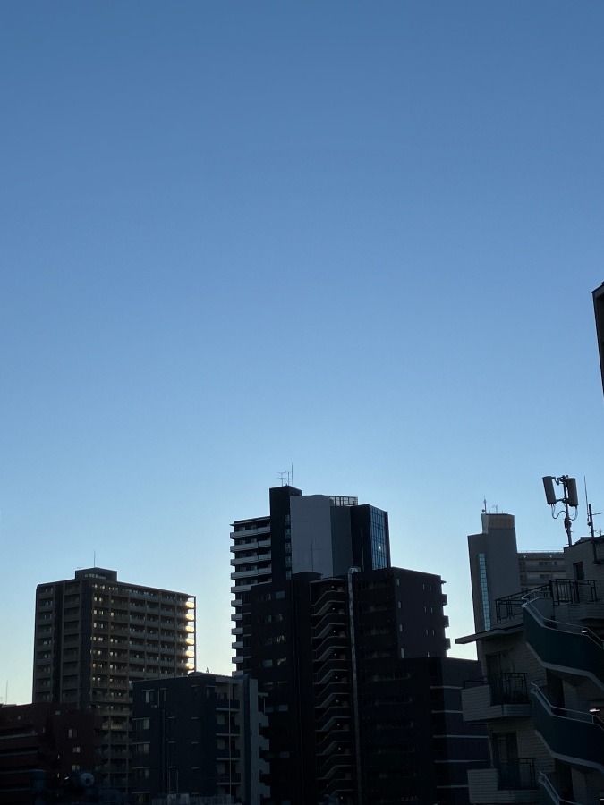 1/29 朝空