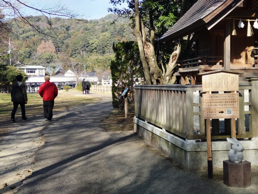 昨日の投稿があがってなかった(^_^;)