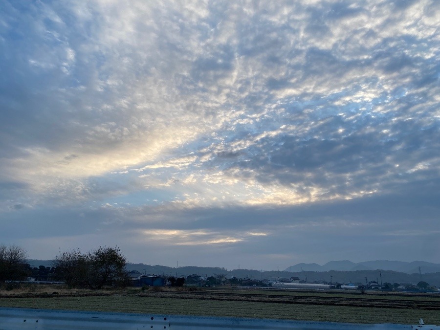 今朝の空　1／2