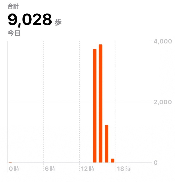 9028歩ウォーキング　1/9