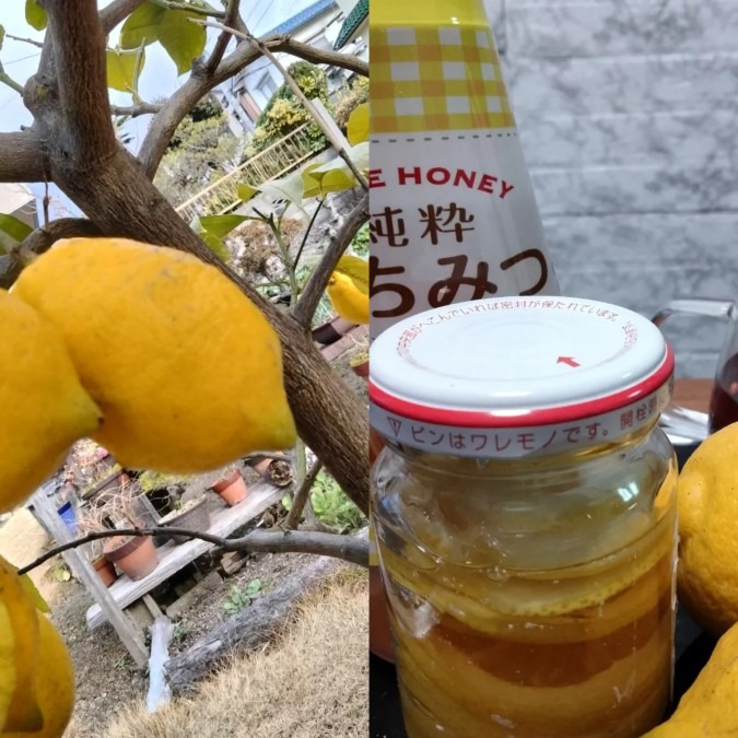 蜂蜜レモン漬け🍋