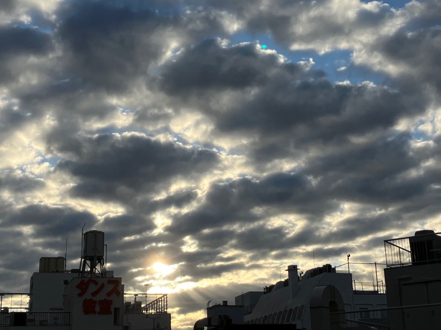 1/31 朝空