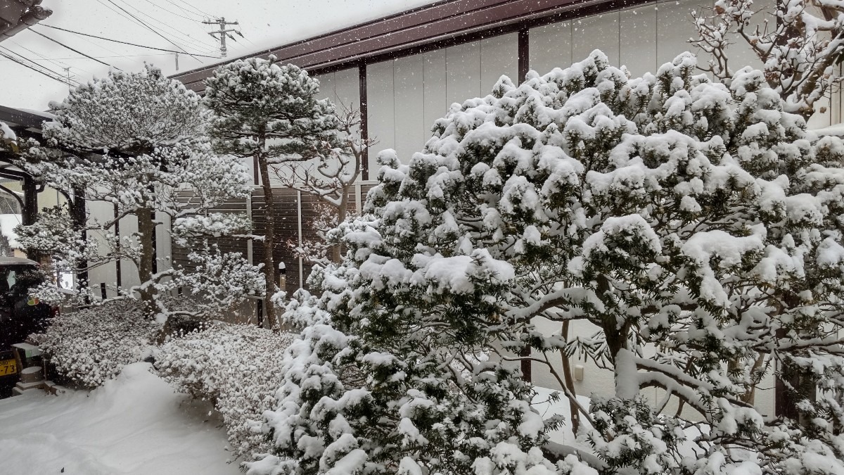 今季、初めての積雪