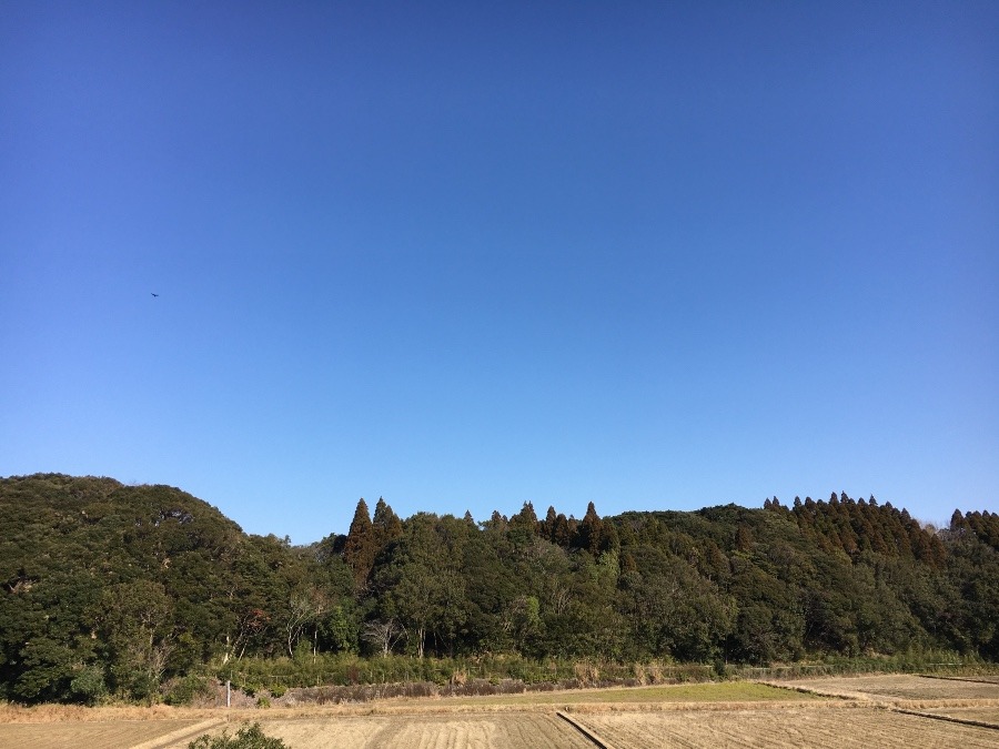 ⭕️空部→ 今日の空（≧∇≦）‼️372.