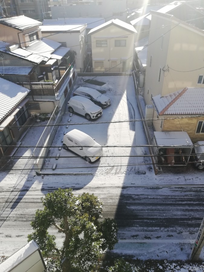 鹿児島市も!!