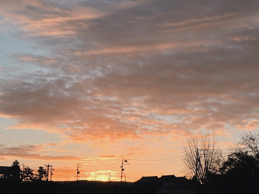 【朝の空】