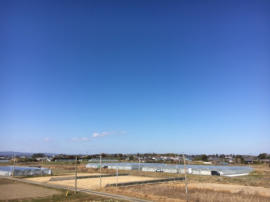 ⭕️空部→ 今日の空（≧∇≦）‼️393.