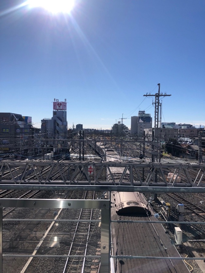 本年もよろしくお願いします🎍