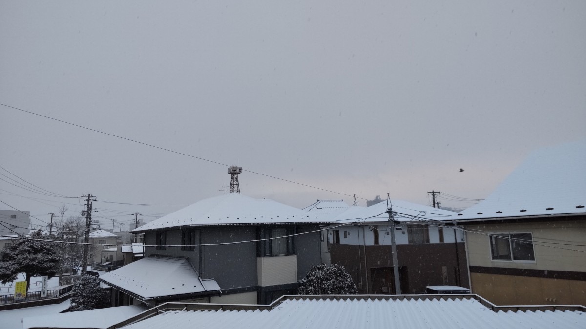 シンシンと、静に降る雪。超寒いです。