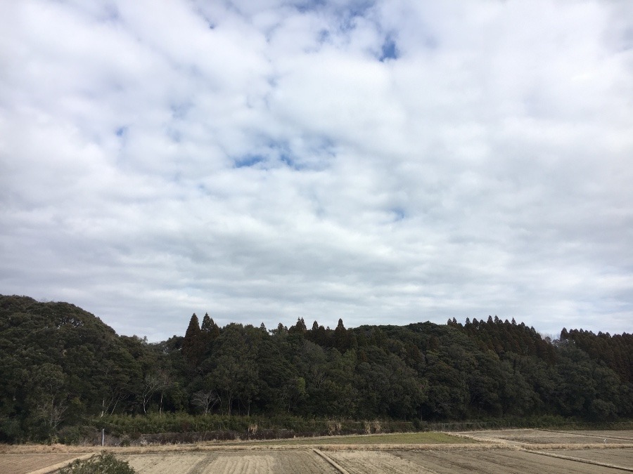 ⭕️空部→ 今日の空（≧∇≦）‼️390.