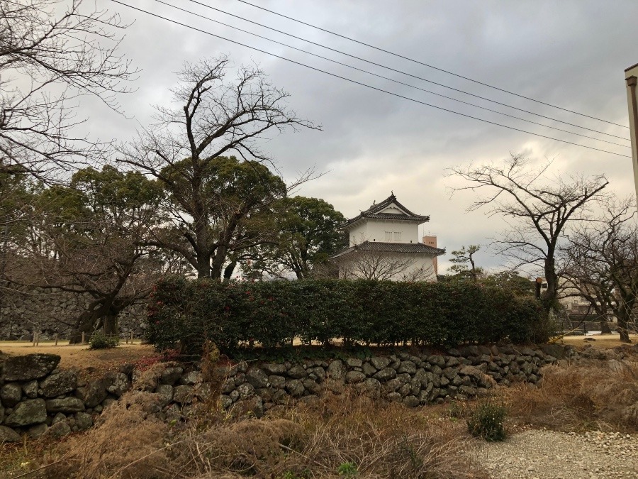 おはようございます❣️