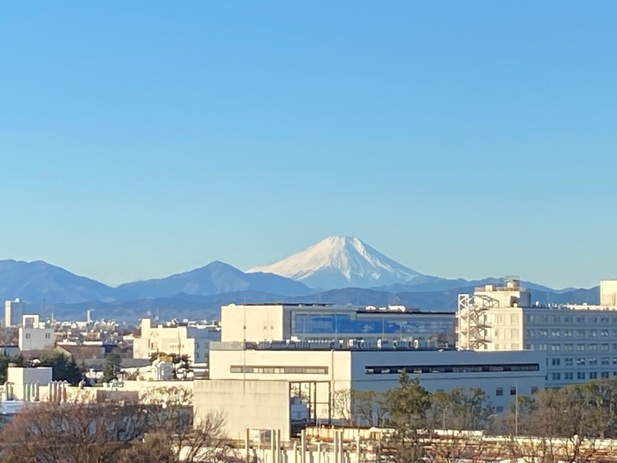 お正月三日の富士山