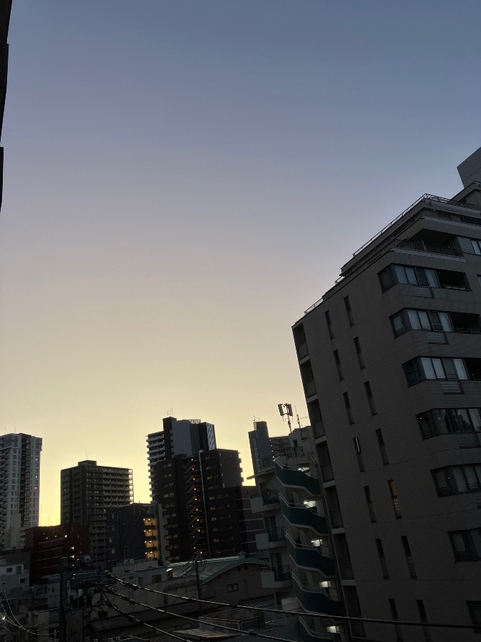 1/21 朝空