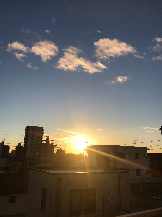 2023.1.5の朝陽〜☀️