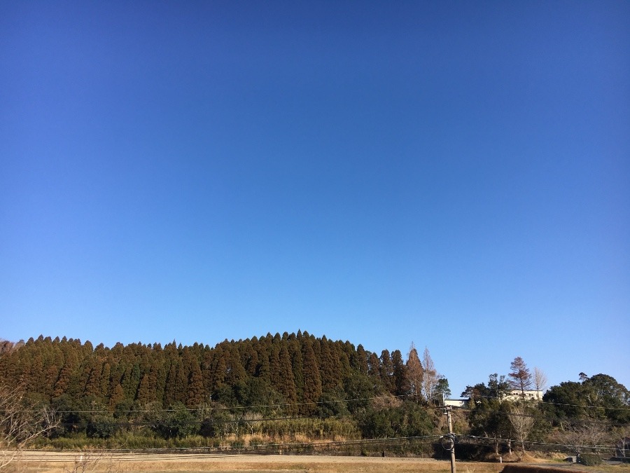 ⭕️空部→ 今日の空（≧∇≦）‼️355.