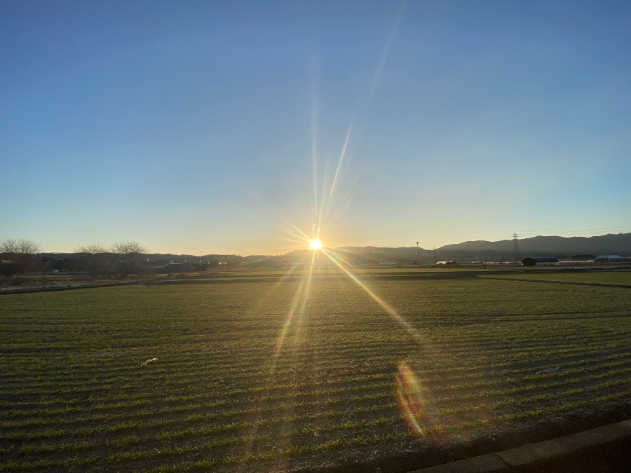 今朝の空　1／31