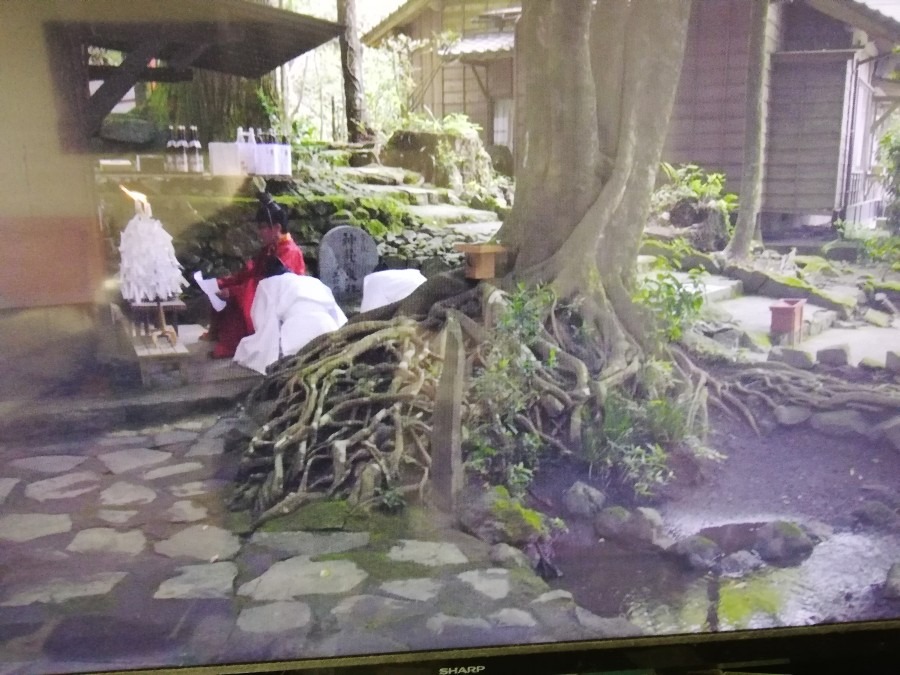 霧島東神社!