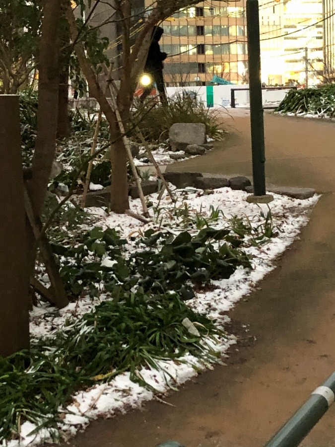 雪が