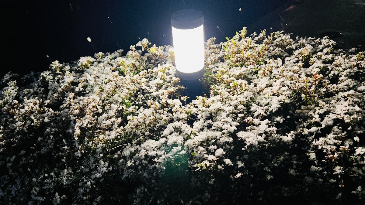 雪の花　SINQ休みます　ありがとうございました