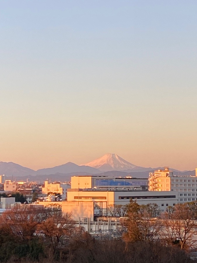 お正月２日の富士山