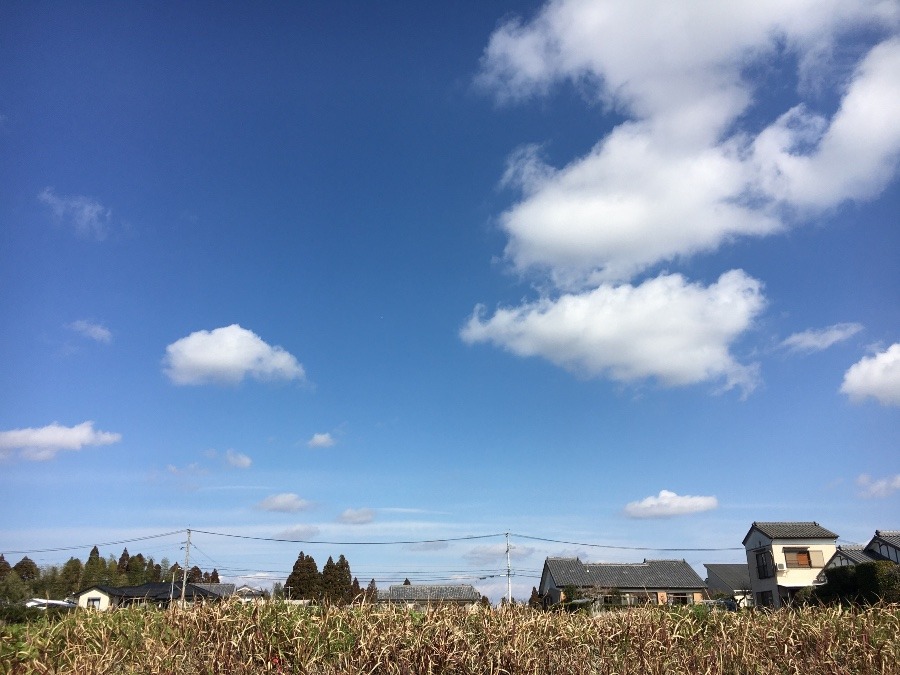 ⭕️空部→ 今日の空（≧∇≦）‼️423.